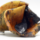 Tar collected in a birch bark “container.” (Image: Paul Kozowyk)